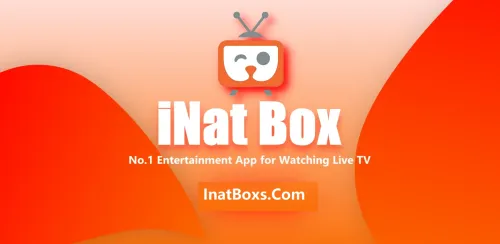 İnat BOX